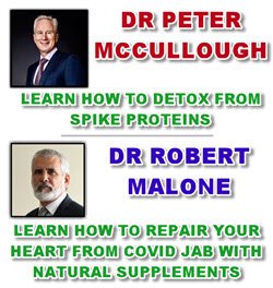 DETOX FROM SPIKE PROTEINS AND REPAIR YOUR HEART - DR PETER MCCULLOUGH - DR ROBERT MALONE